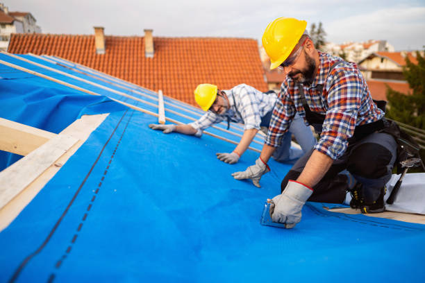 Sheet Metal Roofing in Schnecksville, PA